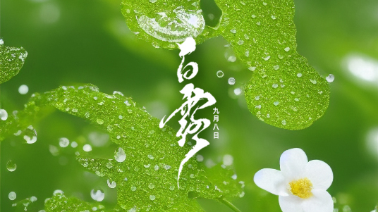 迎接<i style='color:red'>白露</i>：秋季的第一抹清涼！