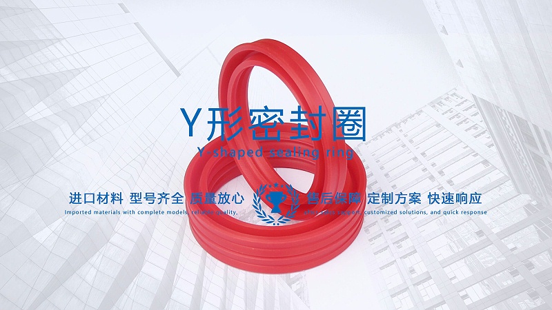 y型密封圈（又Y形密封圈，Y形圈，Y型圖或唇形密封圈，密封件油封膜片） (3)